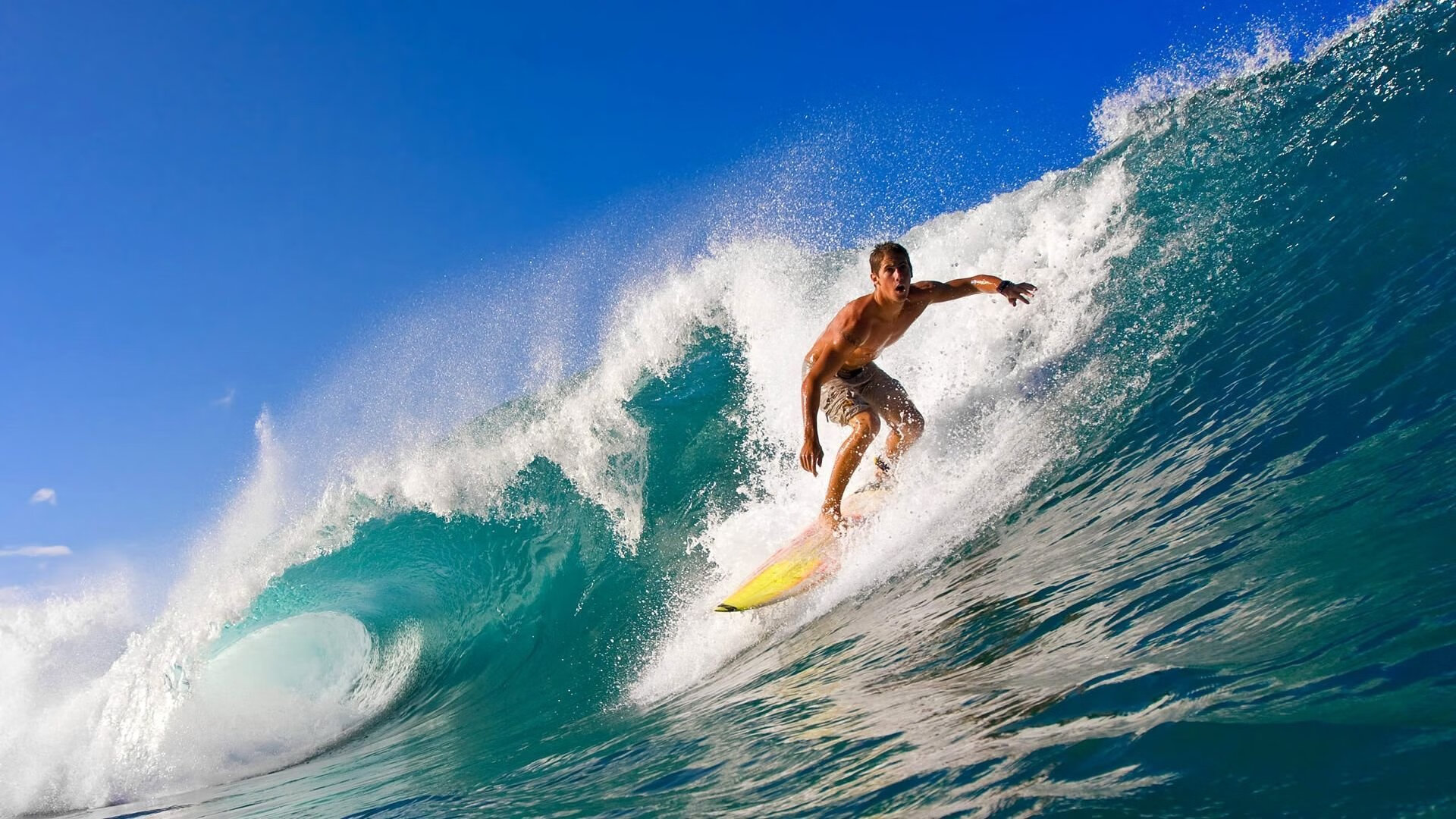 体育新闻中心发布体育内容原创度自动评估工具,体育新闻短视频