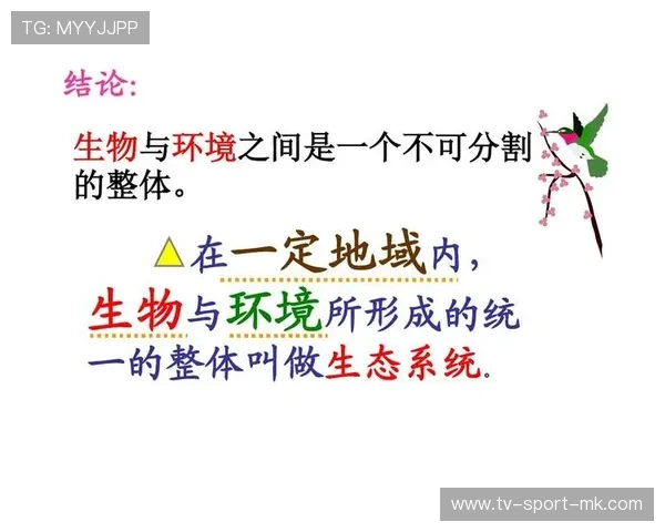 体育新闻中心构建多层次体育新闻生态系统，体育新闻中心构建多层次体育新闻生态系统的意义